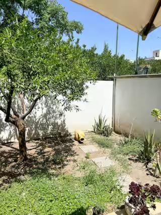 Origini - Apartment With Private Garden Lecce Eksteriør bilde